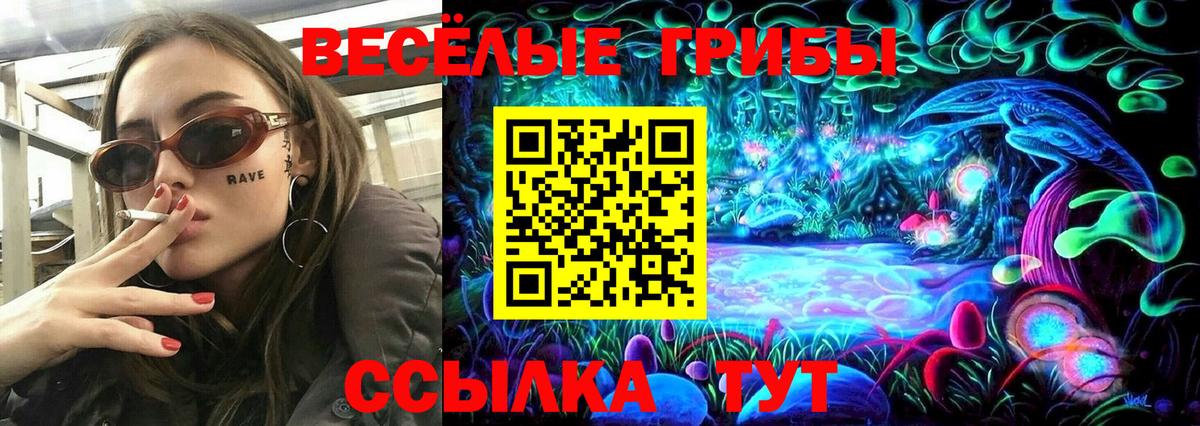 Псилоцибиновые грибы GOLDEN TEACHER  Вход с VPN  Острогожск 